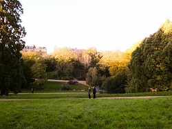 Paysage